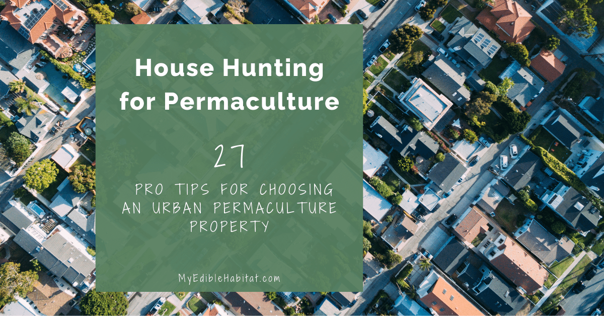 How to Choose a Permaculture Property: 27 Pro Tips for Assessing Urban Sites Before Buying
