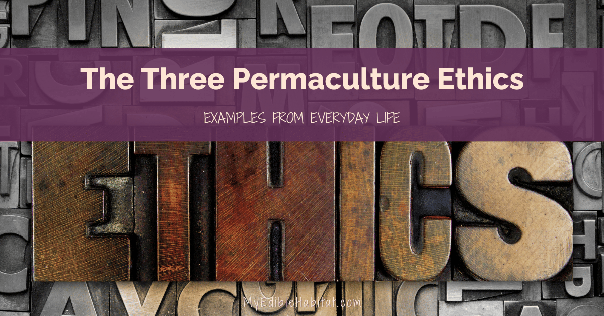 The Three Permaculture Ethics in Everyday Life