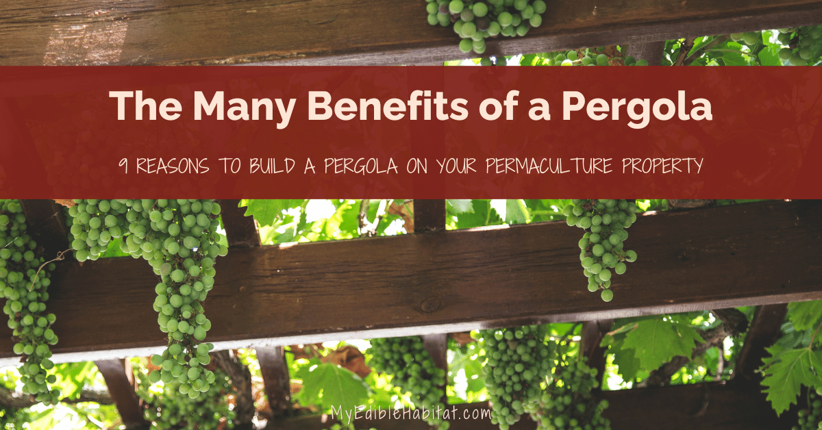 The Many Remarkable Benefits of a Pergola