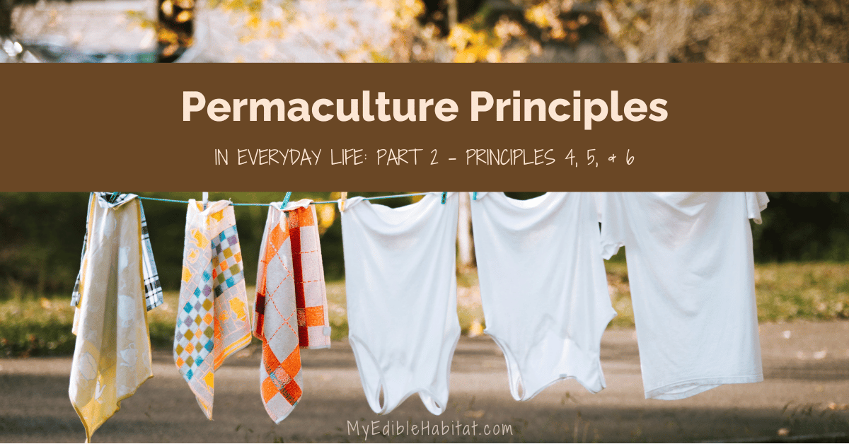 Permaculture Principles in Everyday Life: Part 2 – Principles 4, 5, & 6