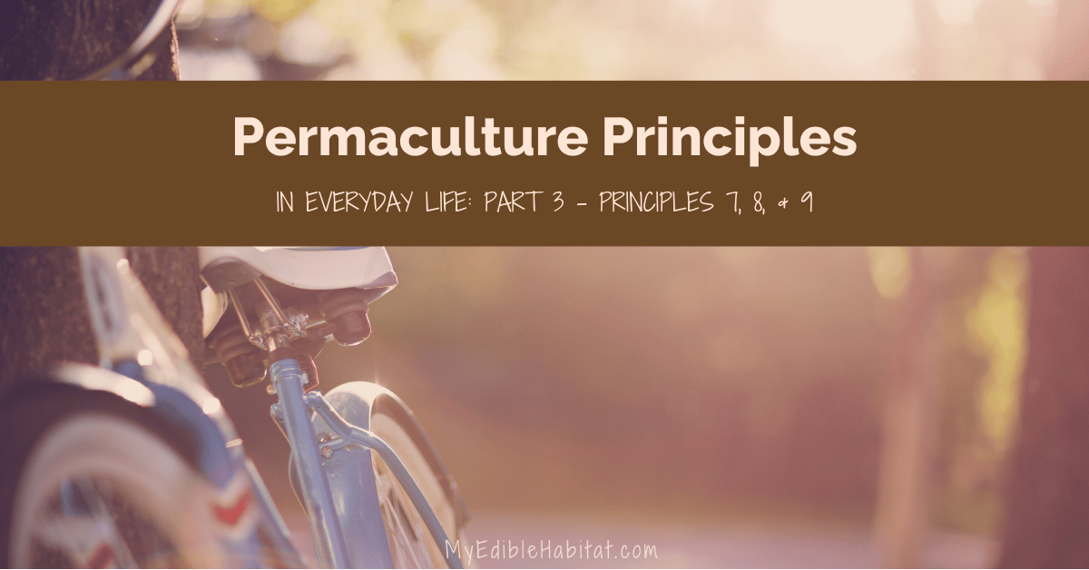 Permaculture Principles in Everyday Life: Part 3 – Principles 7, 8, & 9